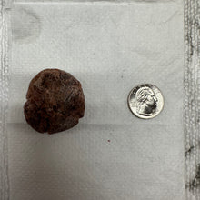 Load image into Gallery viewer, Seedless Jumbo Sweet Li Hing Mui(King Mui)